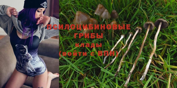 Альфа ПВП Алексеевка