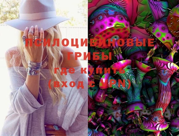 хмурый Алзамай