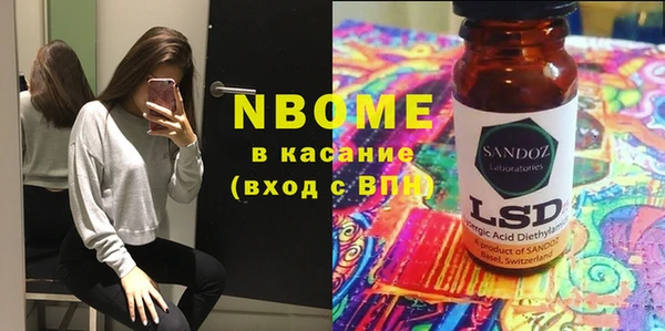 хмурый Алзамай